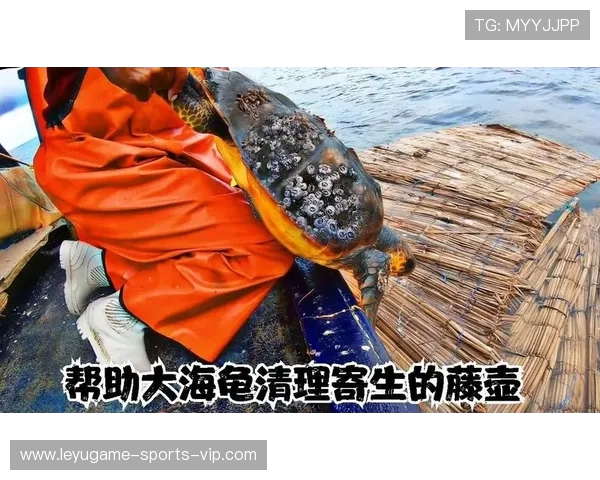 深海作业直击!第一视角体验船舶藤壶清理的硬核挑战 深海作业直击!第一视角体验船舶藤壶清理的硬核挑战